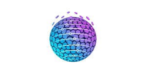Infovex Technologies