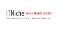 IT Niche