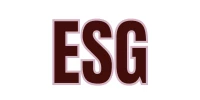 Elevated Strategy Group