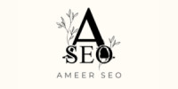 Ameer SEO