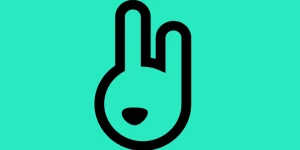 Rabbit Studio