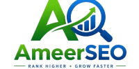 Ameer SEO