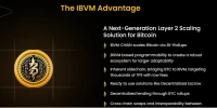 International Bitcoin Virtual Machine (IBVM)