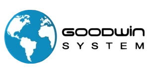 Goodwin System