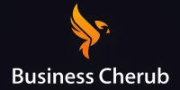 Business Cherub