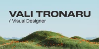 Vali Tronaru - Design Sistemic, Digital & Print