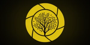 Digiwoods Marketing