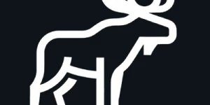 MooseBase