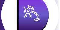 Devophy