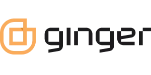 Ginger IT Solutions