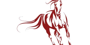 The Red Horse Studios(OPC)pvt.ltd