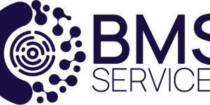 BMS Services