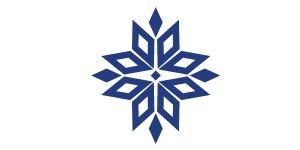 The Snow Media