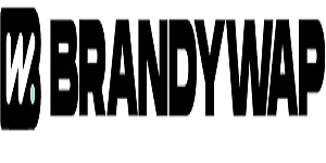 Brandywap digital agency