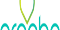 Arooha Tours