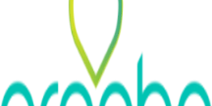 Arooha Tours