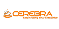 Cerebra Consulting