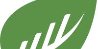 BusySeed