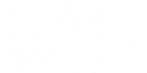 Professional Concept