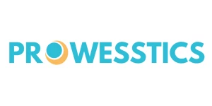 Prowesstics IT Service