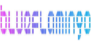 Blue Flamingo Solutions