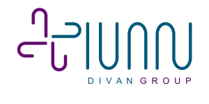 Divan Group