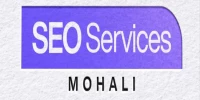 SSM-SEO Services Mohali