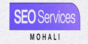 SSM-SEO Services Mohali