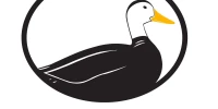Odd Duck Media