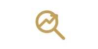 Professional SEO Services