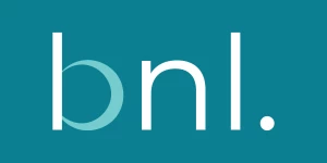 BNL Media Consulting