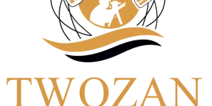 Twozan Surveys