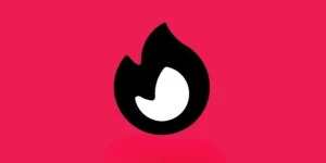 Vibuddy Network