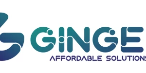Ginger Affordable Solutions