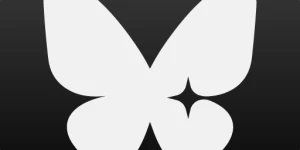BloomBig
