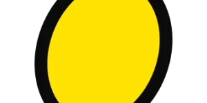 New Lemon Studio
