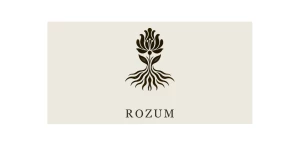 ROZUM Studio
