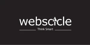 Webscicle Technology Solutions Pvt Ltd
