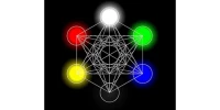 Altometatron Web Solutions