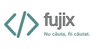 Fujix Optimization