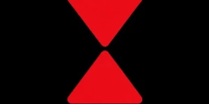 Black Widow Studios