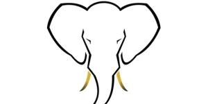 Golden Ivory Publishing