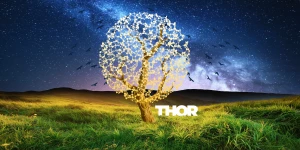 Thor Design