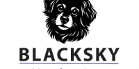 BlackSky Marketing