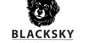 BlackSky Marketing