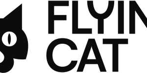 Flying Cat