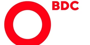 BDC Consulting