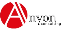Anyon Consulting