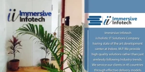 Immersive Infotech Pvt Ltd