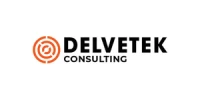 DelveTek Consulting